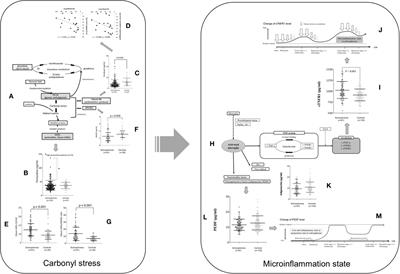 Carbonyl Stress and Microinflammation-Related Molecules as Potential Biomarkers in Schizophrenia